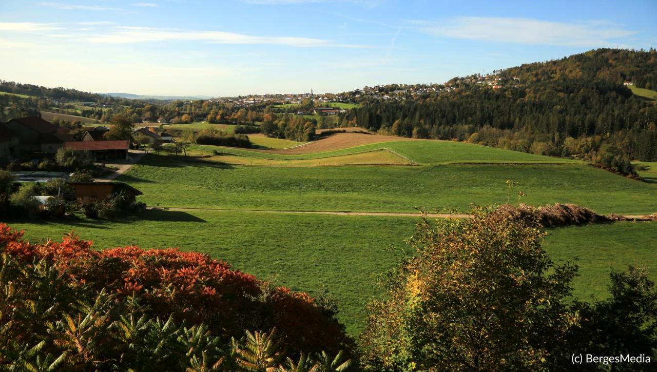 Appartement Hauzenberg-Panorama Bagian luar foto