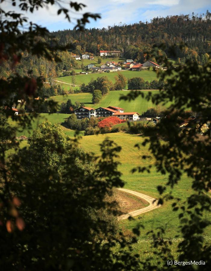 Appartement Hauzenberg-Panorama Bagian luar foto